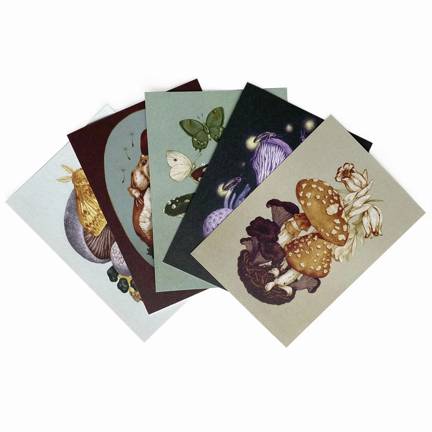 Store — Zoe Keller Nature Art